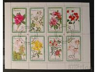 Faună/Floră din Guineea Ecuatorială