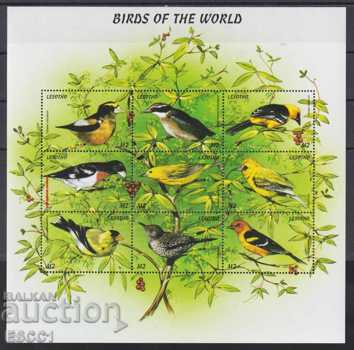 Clean stamps in a small sheet Fauna Birds 1999 from Lesotho