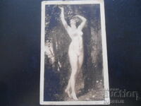 Εύα, 26.XII.1978, Ρούσε