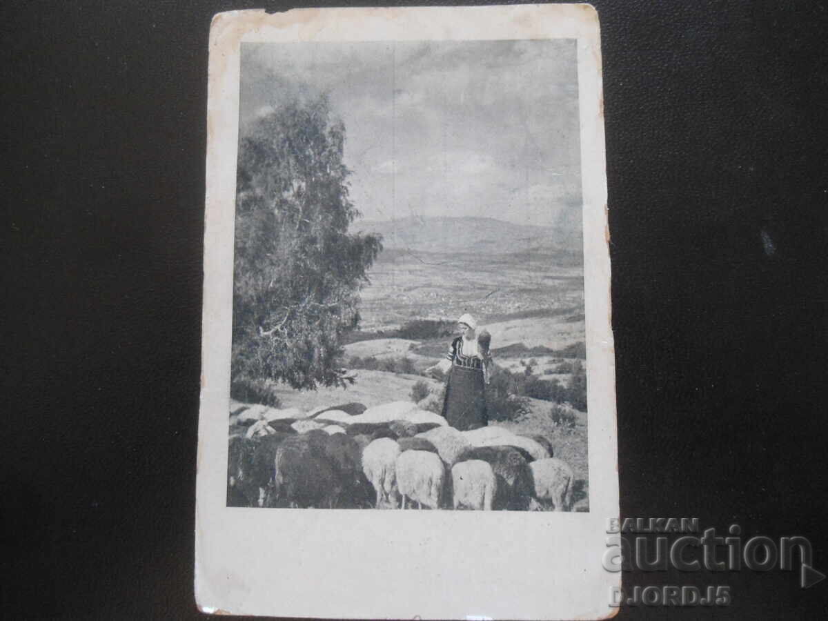 MACEDONIAN GIRL, January 16, 1933, Old postcard