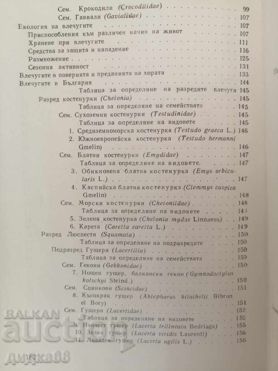 Auction Flying Machines / Tsolo Peshev Auction Flying Machines / Tsolo Peshev