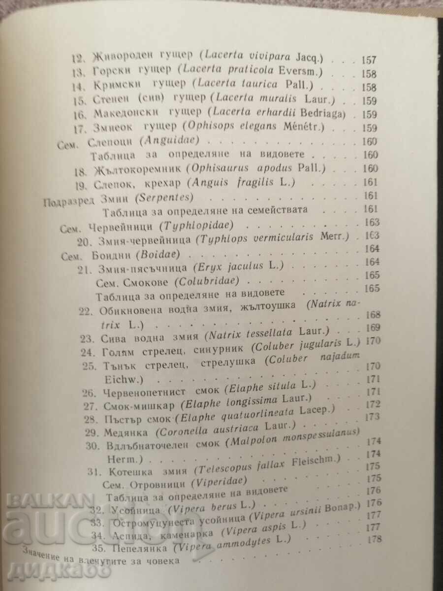 Delivery of Flying Machines / Tsolo Peshev Delivery of Flying Machines / Tsolo Peshev