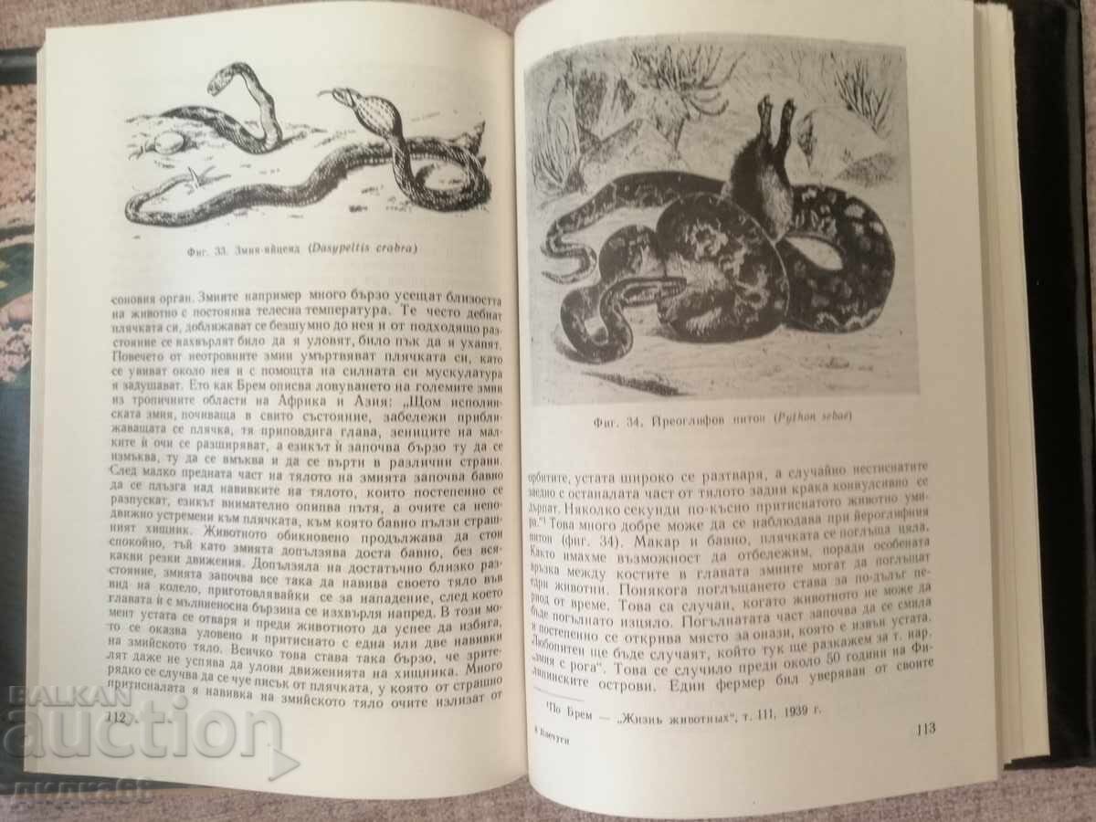 Flying Machines / Tsolo Peshev - 5 Flying Machines / Tsolo Peshev - 5