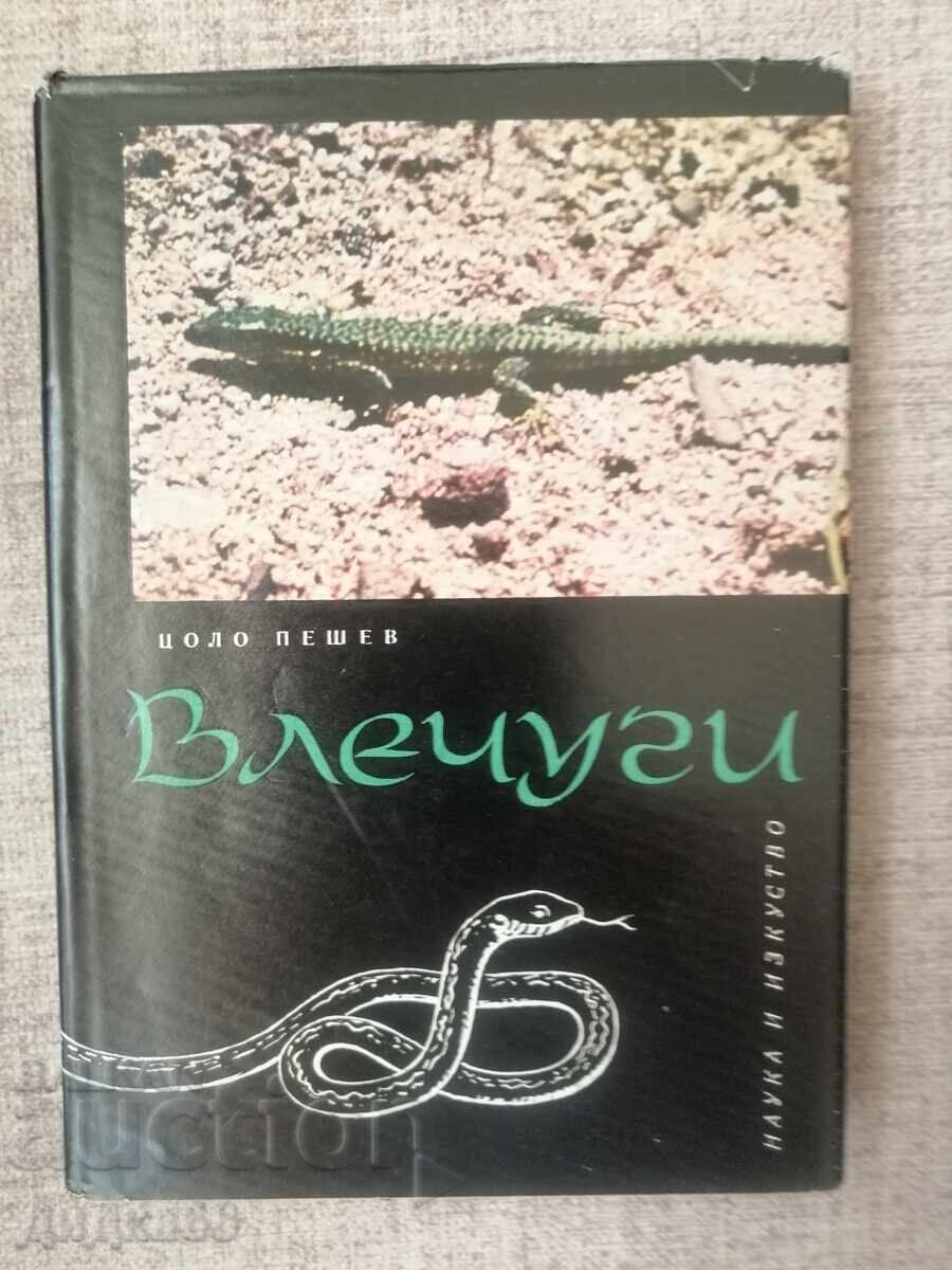 Flying Machines / Tsolo Peshev Flying Machines / Tsolo Peshev