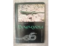 Reptile / Tsolo Peshev