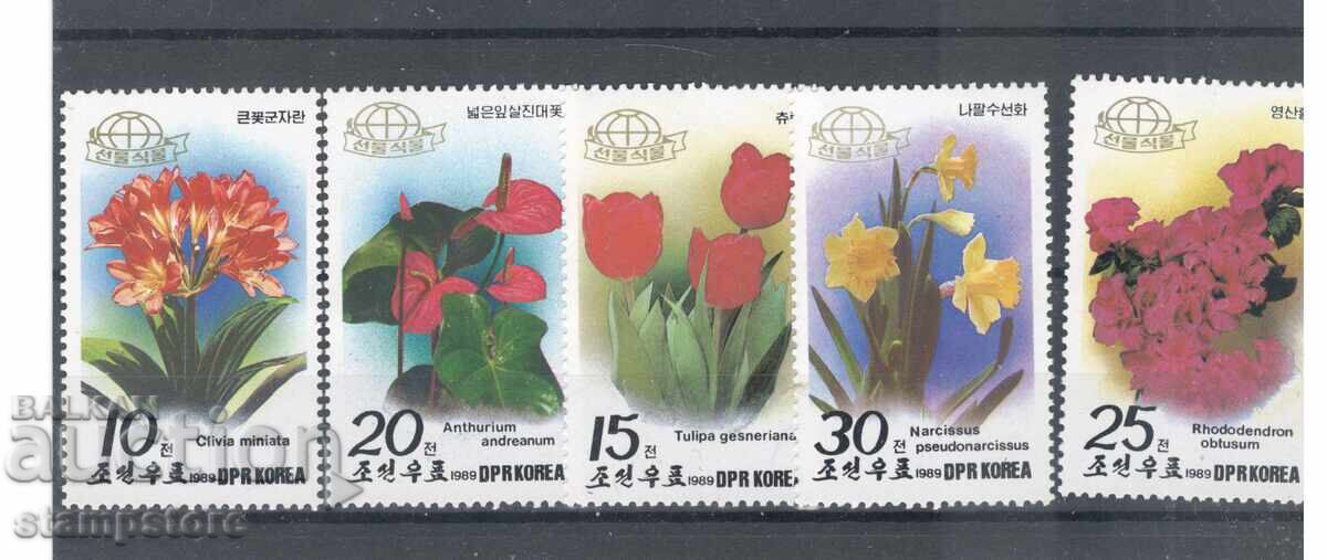 Βόρεια Κορέα - Φυτά Βόρεια Κορέα - Φυτά