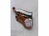 Insigna - Pentru activitatea de muncă Comitetul Central al DSNM-Email