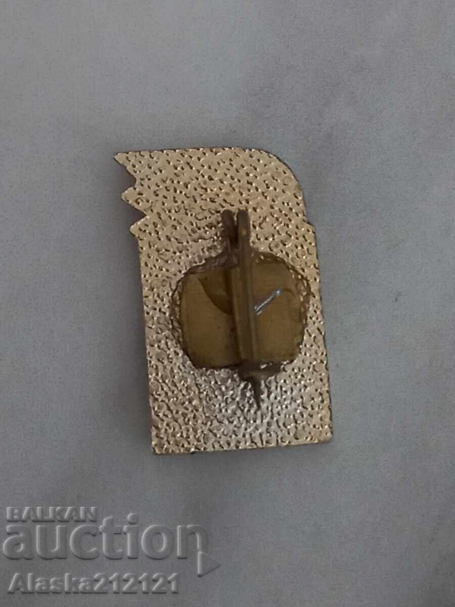 Значка - Чавдарче с цена 1.00 лв. | € 0.51