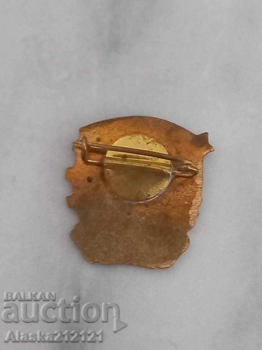 Σηματάκι - ΔΚΜΣ - email με τιμή 3.00 BGN | € 1.53