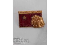 Значка - За комунистически труд - емайл
