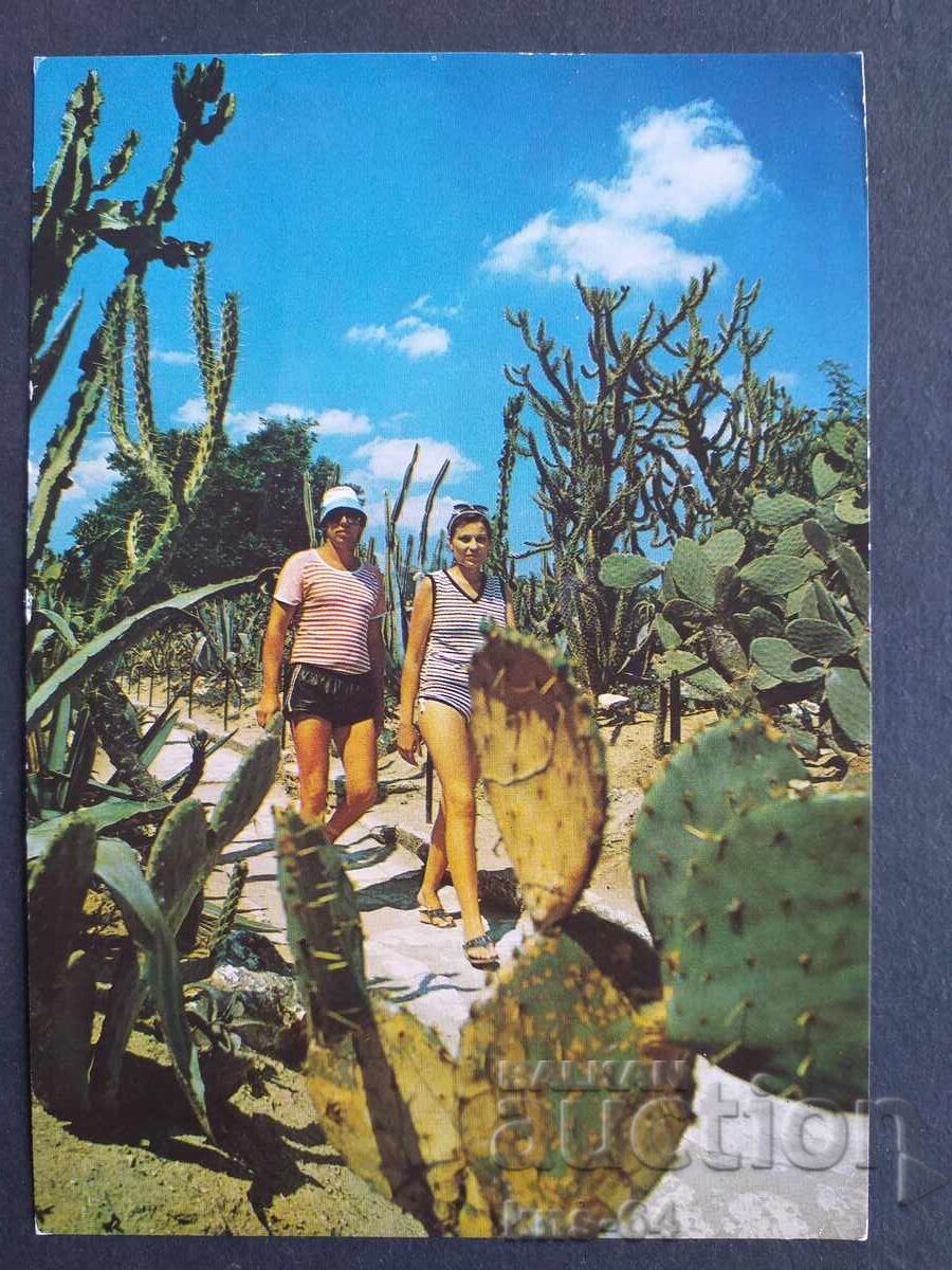 Μπαλτσίκ Μπαλτσίκ