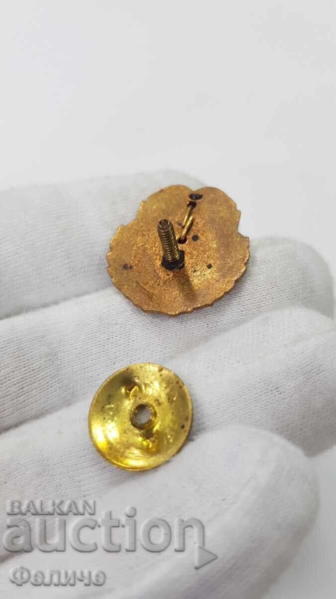 Доставка на Рядък Ранен знак, значка с Христо Ботев 1-ва емисия Доставка на Рядък Ранен знак, значка с Христо Ботев 1-ва емисия