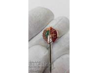 Semn comunist timpuriu, insignă RMS