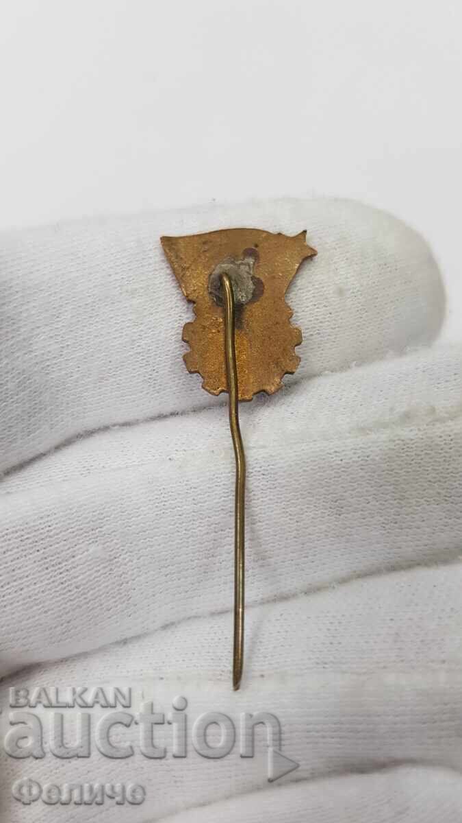 Πρώιμο σήμα, κονκάρδα "ΕΚΘΕΣΗ ΠΛΟΒΝΤΙΒ 1952" με τιμή 22.00 BGN | € 11.25