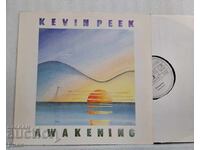 Kevin Peek ‎– Trezirea 1981