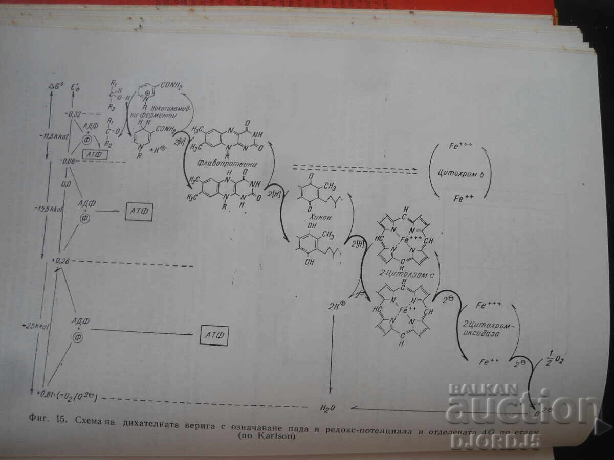 Παράδοση Ανταλλαγή ουσιών στην παιδική ηλικία Παράδοση Ανταλλαγή ουσιών στην παιδική ηλικία
