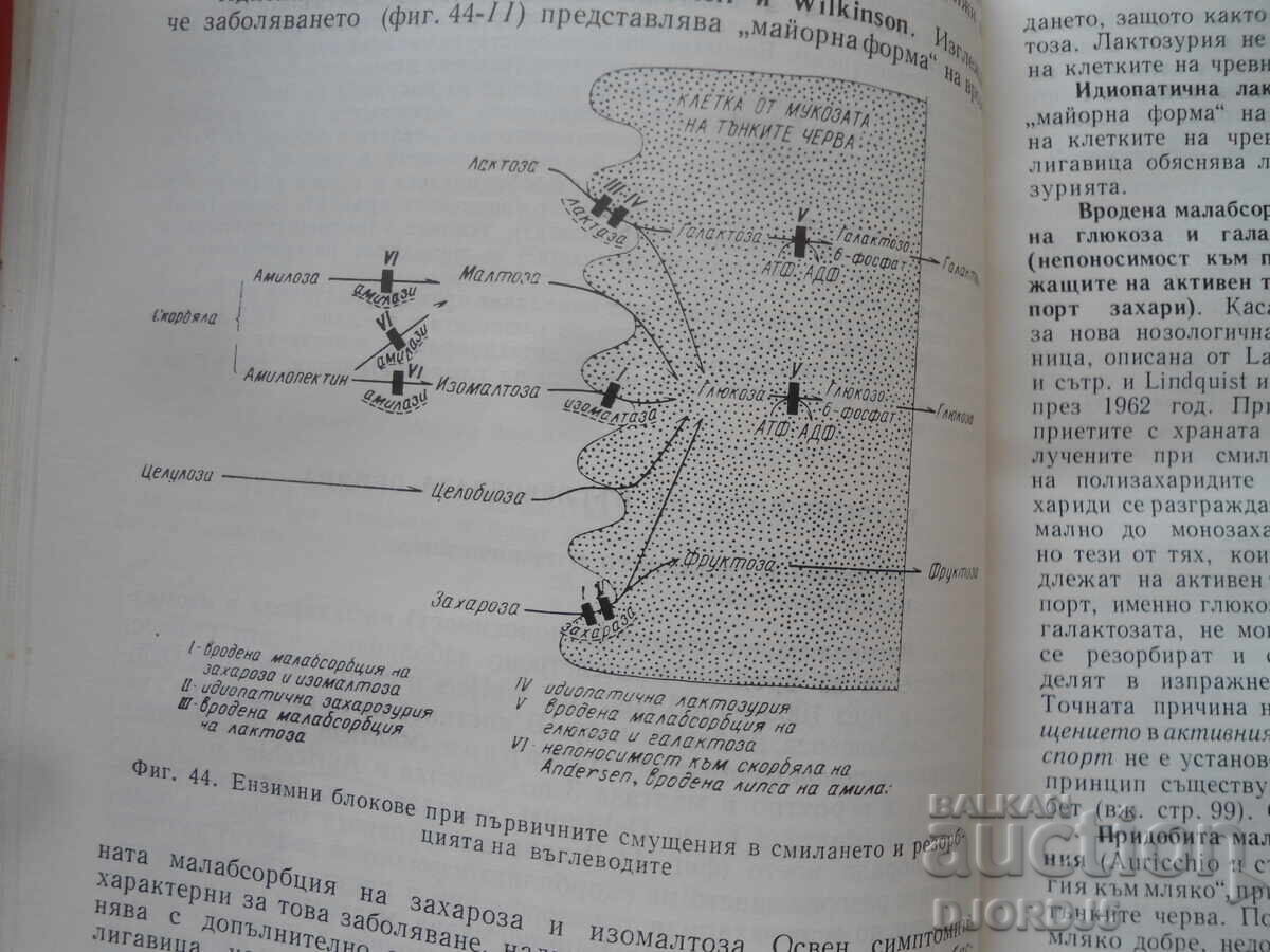 Ανταλλαγή ουσιών στην παιδική ηλικία - 5 Ανταλλαγή ουσιών στην παιδική ηλικία - 5