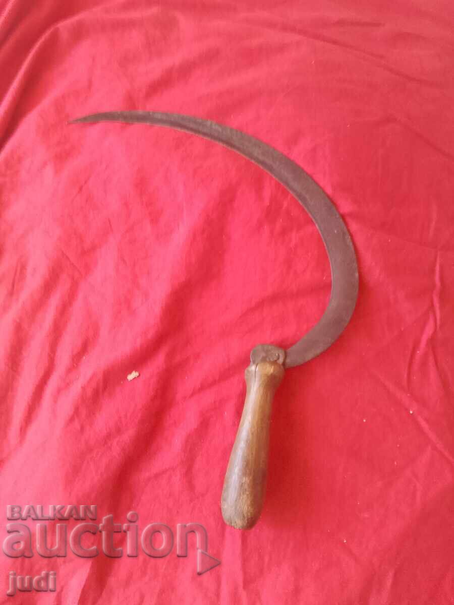 Delivery of Social Serbian