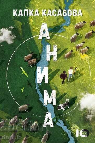 Animation + book GIFT Animation + book GIFT