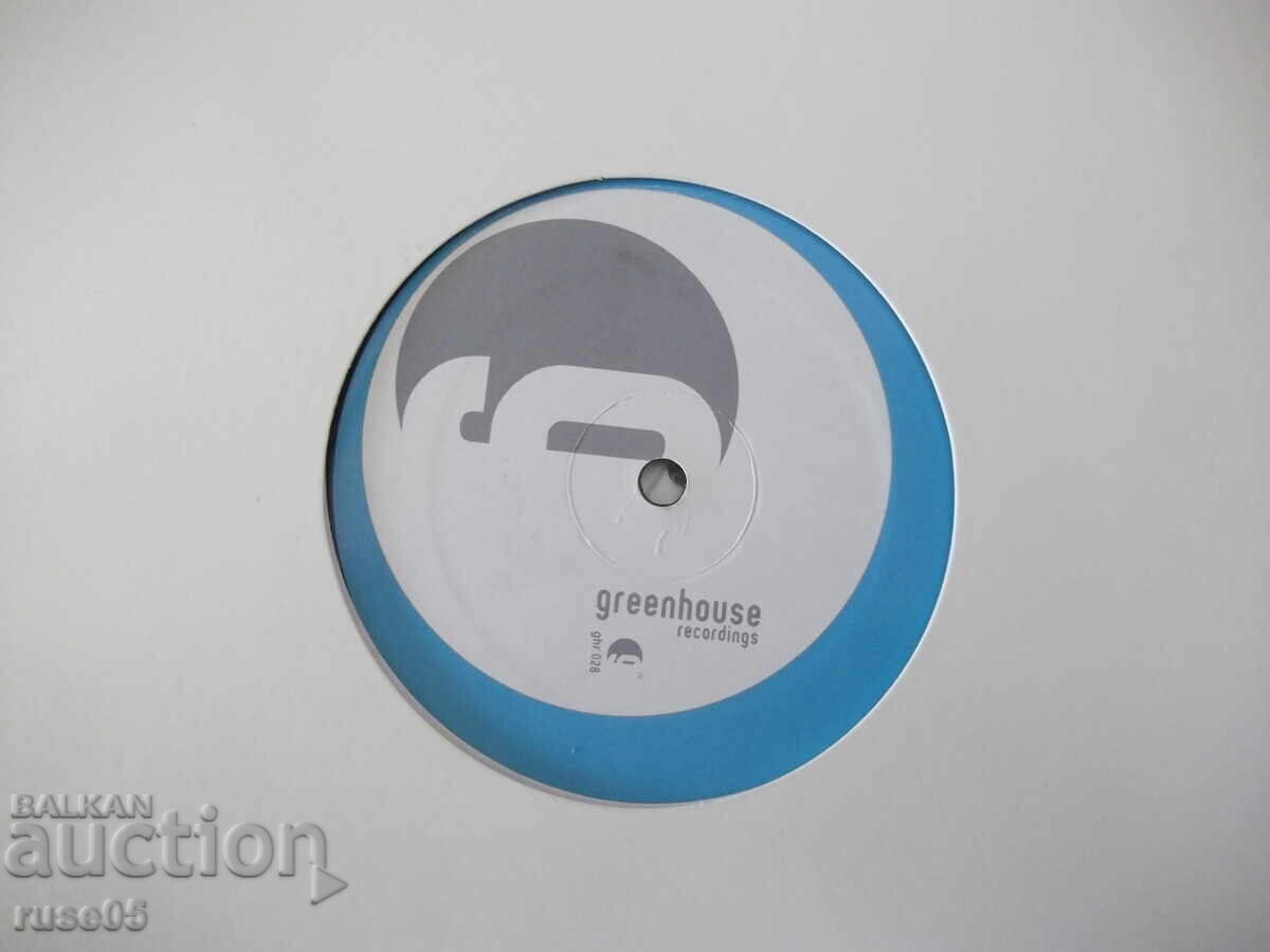 Auction Gramophone record "loopity goofs" Auction Gramophone record "loopity goofs"