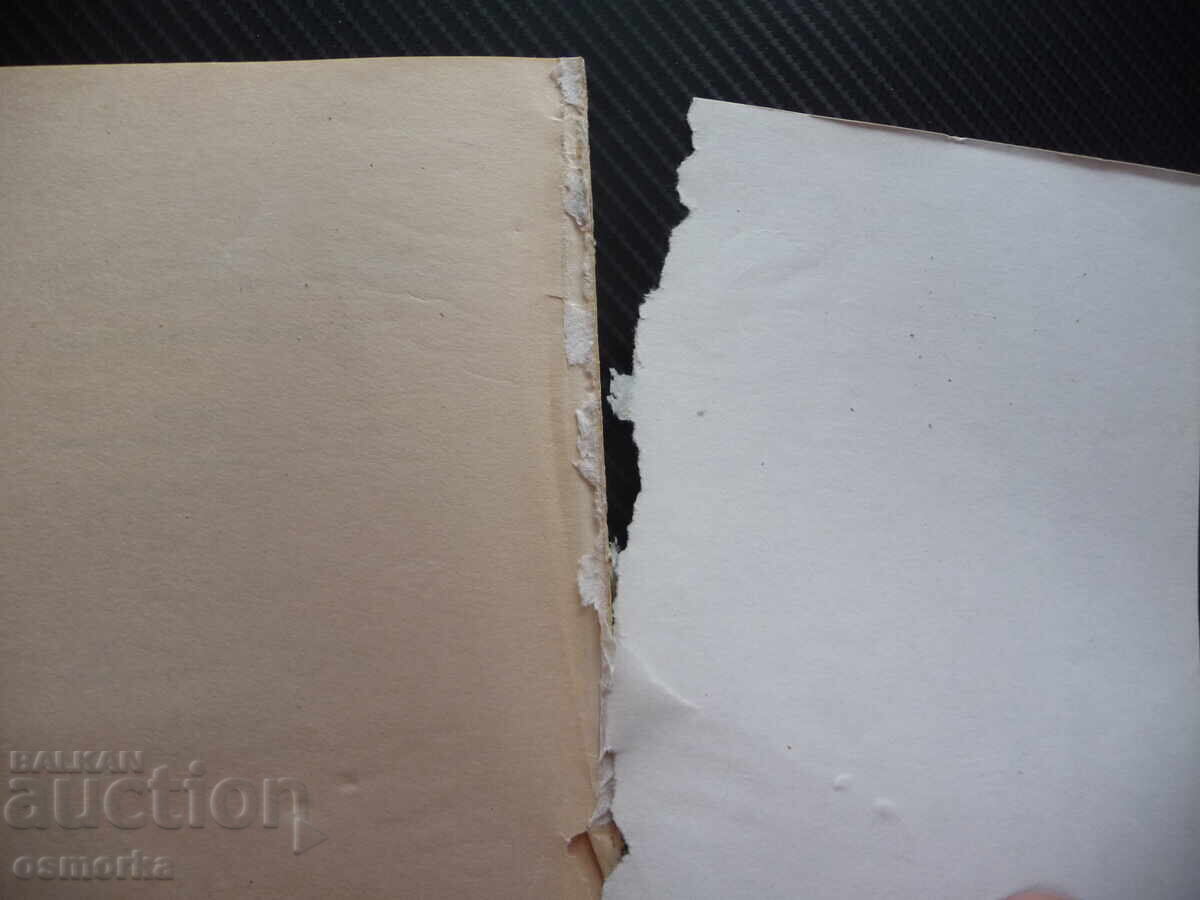 Soluții de drept penal literatură juridică NCPP - 5