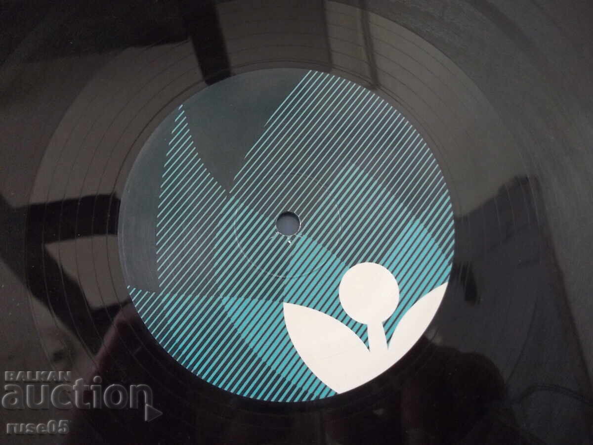 Vinyl record "fred everything" - 6 Vinyl record "fred everything" - 6