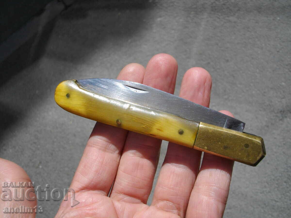 CUIT DE BUZUUNAR DE COLECȚIE - 6