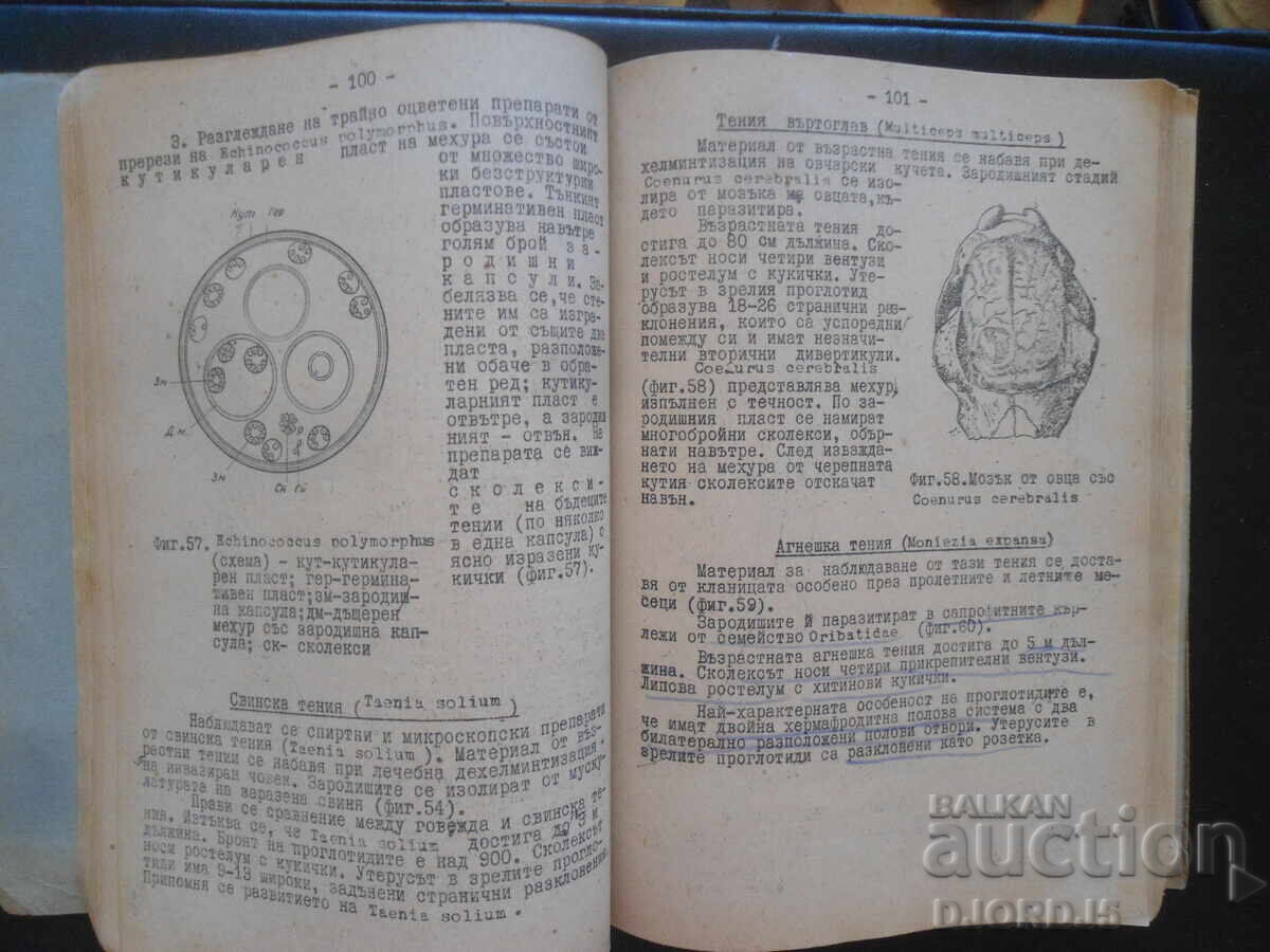 Εγχειρίδιο πρακτικής άσκησης στην εφαρμοσμένη ζωολογία - 7