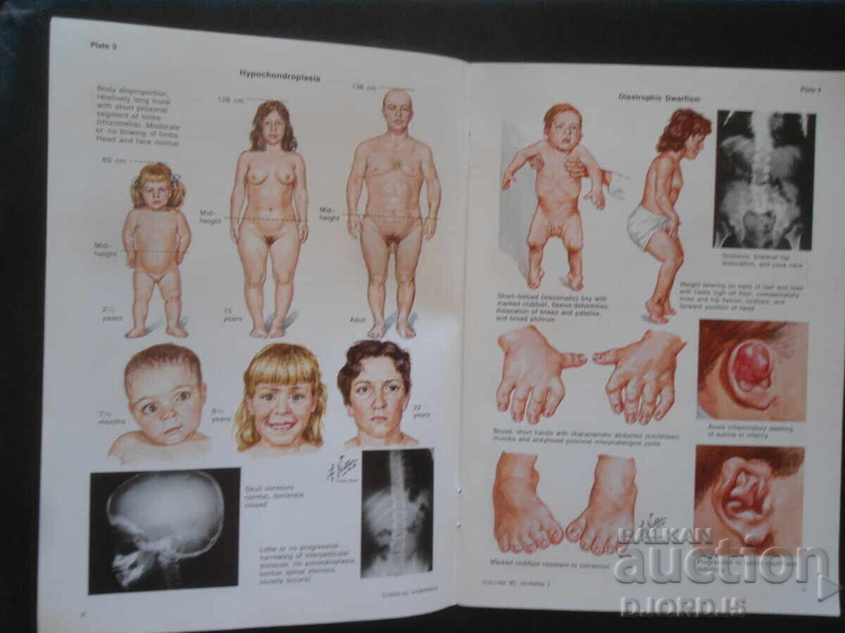 Доставка на CLINICAL SYMPOSIA, Volume 40, Number 1/1988 г.