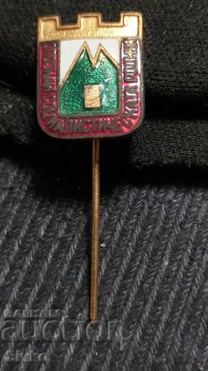 Значка Опознай Социалистическата Родина 6