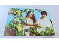 Carte poștală Oreșak Culesul viei 1983