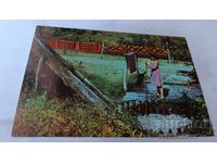 Ταχυδρομική κάρτα Σιναπόβο Η Τεπαβίτσα 1983