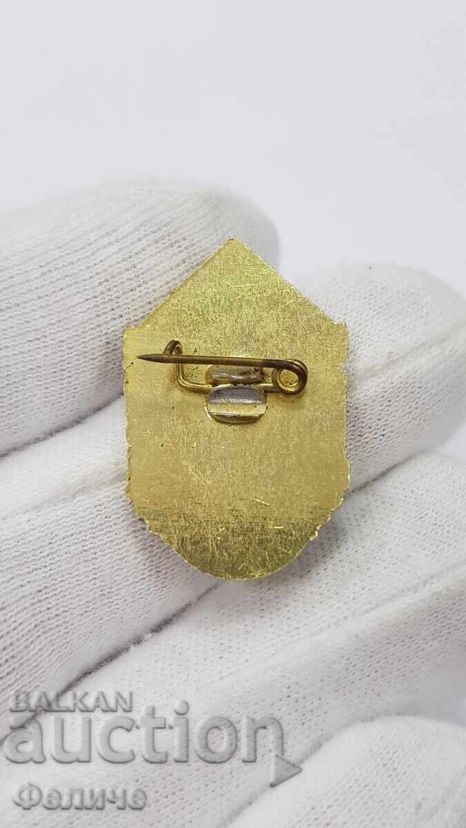 Rară insignă militară bulgară, ecuson radar, rachetă cu preț 15.00 BGN | € 7.67