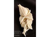 Collector's brooch "Erbach Rose"