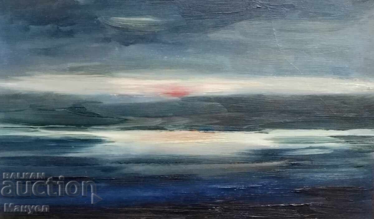 Beautiful sea landscape with price 160.00 BGN | € 81.81