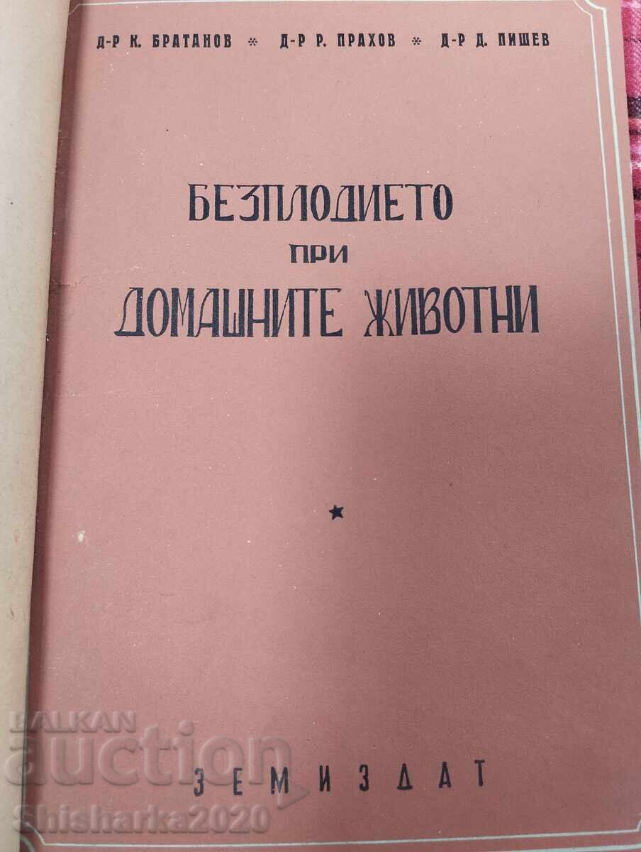 Infertility in domestic animals with price 25.00 BGN | € 12.78