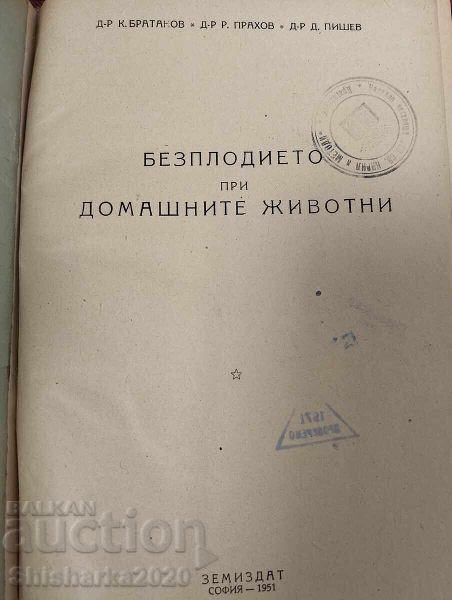 Auction  Infertility in domestic animals