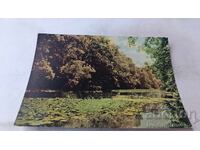 Postcard Ropotamo River 1966