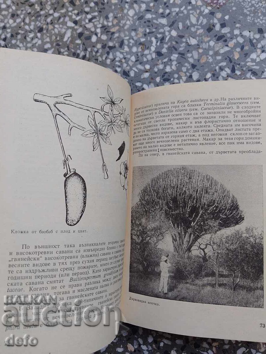 Βιογραφία των Ηπείρων - Π.Π. Βτορόφ, Ν.Ν. Ντρόζντοφ - 6