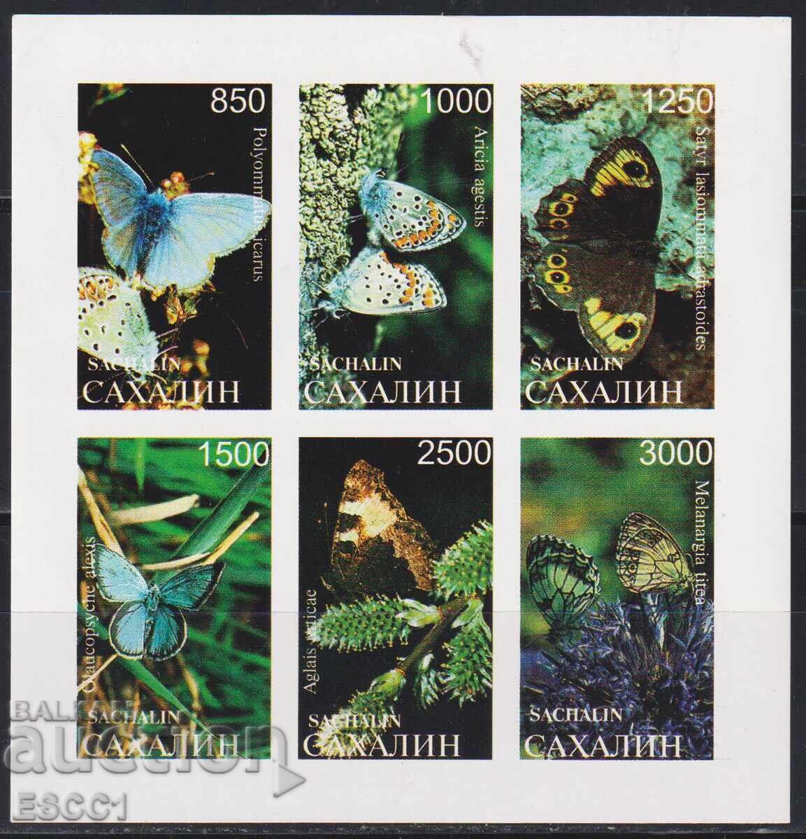 Καθαρές γραμματόσημες σε μικρό φύλλο Πανίδα Πεταλούδες 1997 Σαχαλίνη Ρωσία