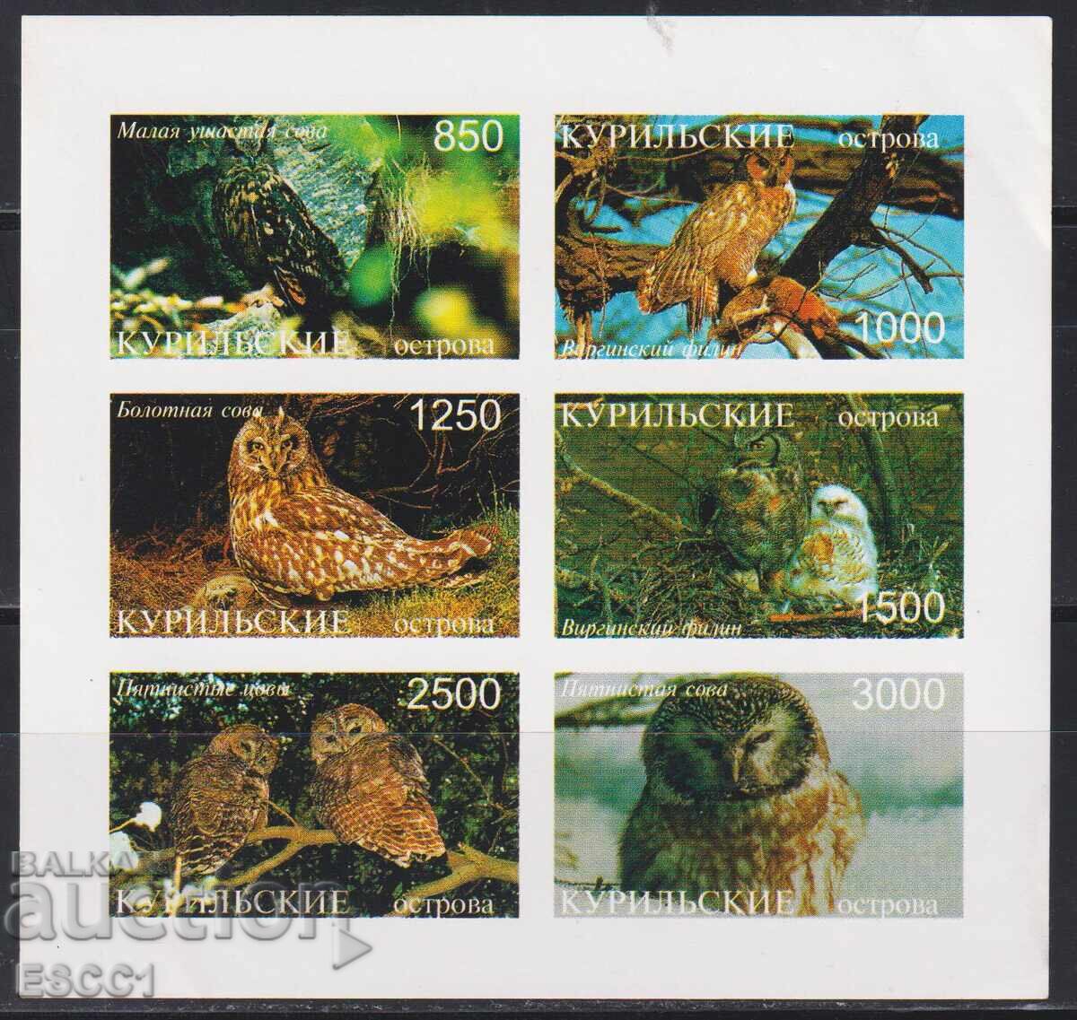 Clean stamps in sheet Fauna Owl 1996 Kuril Islands Russia