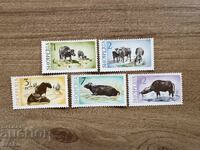 Albania - Water Buffalo (1965) MNH