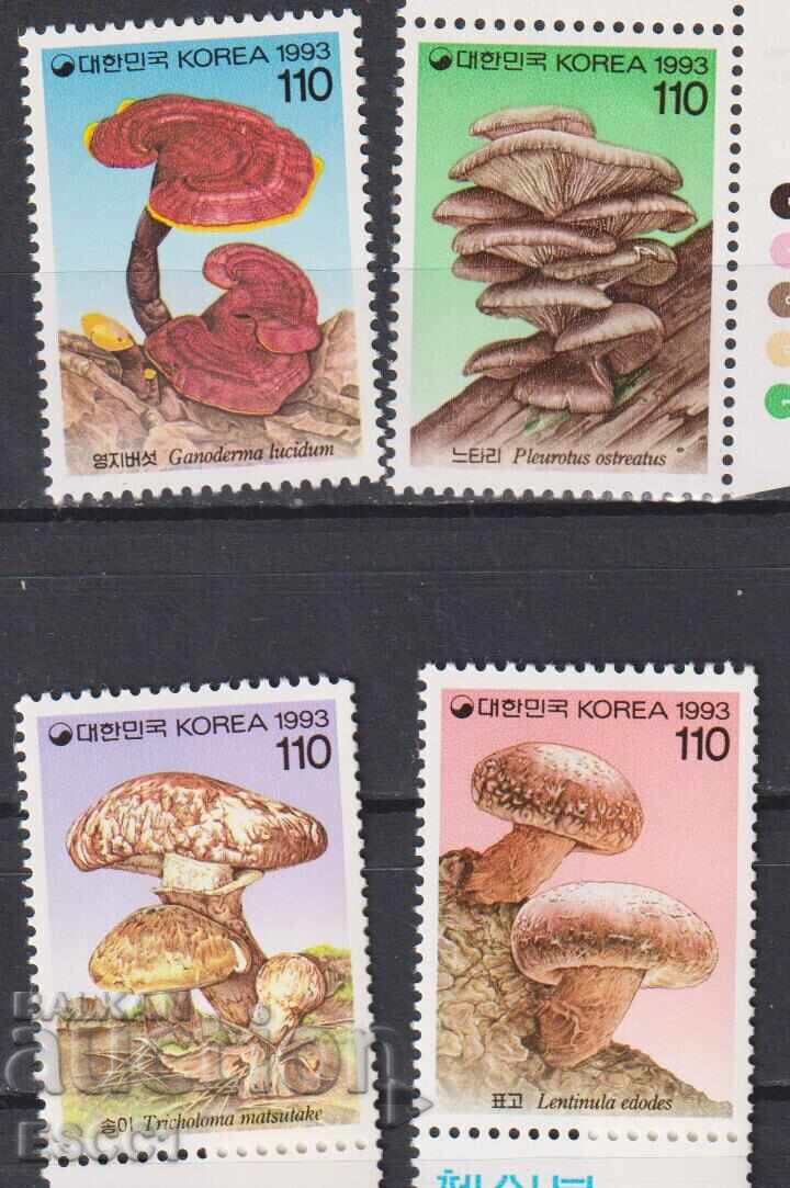 Καθαρές σφραγίδες Flora Mushrooms 1993 από τη Νότια Κορέα Καθαρές σφραγίδες Flora Mushrooms 1993 από τη Νότια Κορέα