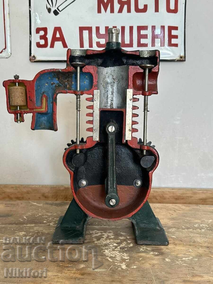 Model didactic social al motorului în secțiune Model didactic social al motorului în secțiune
