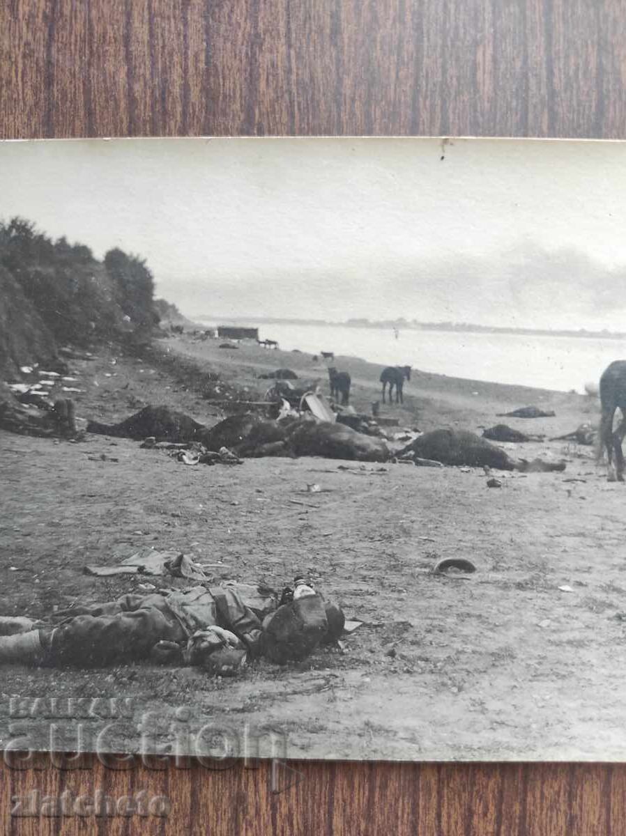 Old photo Kingdom of Bulgaria - with price 100.00 BGN | € 51.13