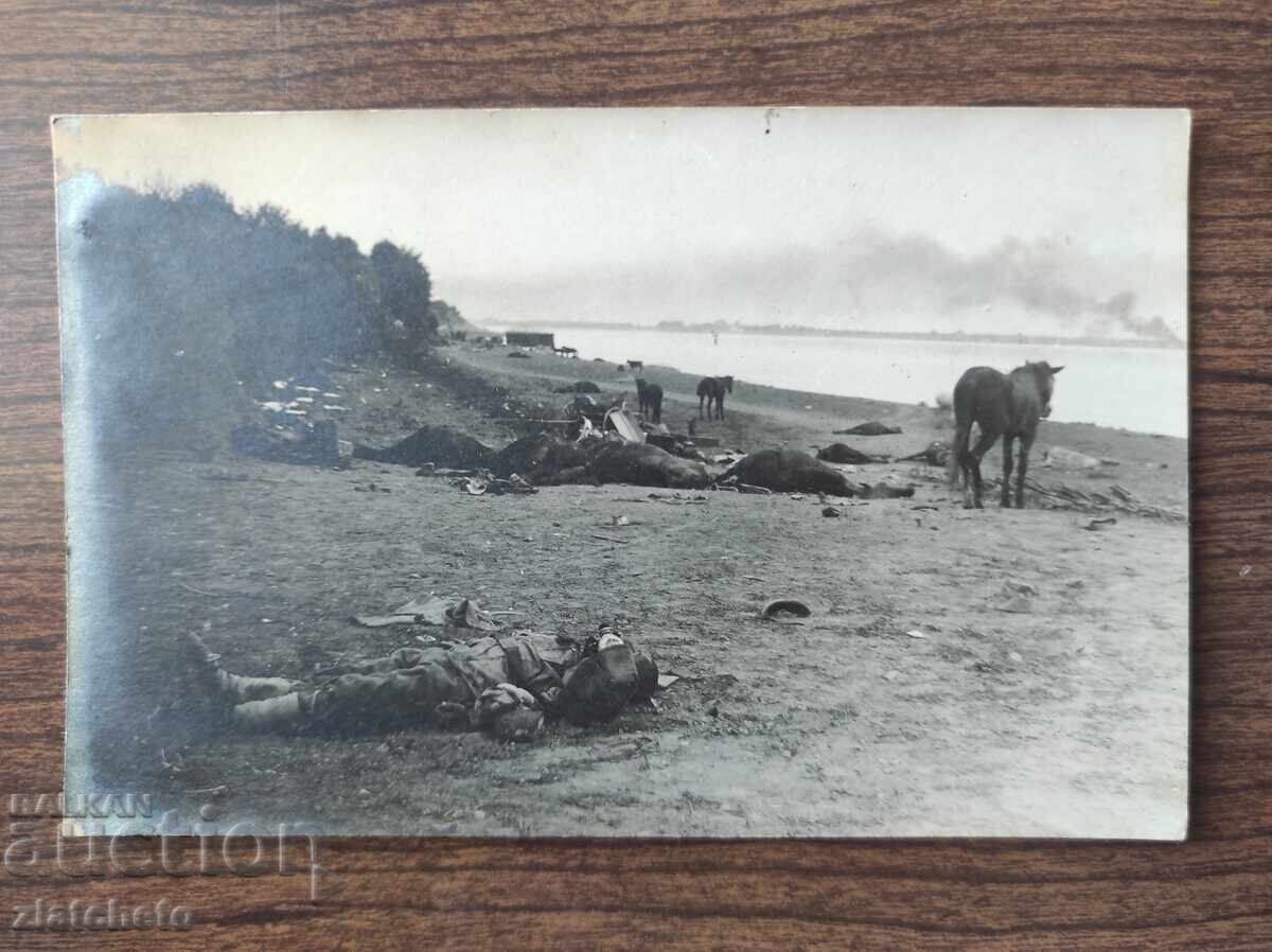 Old photo Kingdom of Bulgaria -