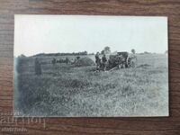 Old photo Kingdom of Bulgaria -