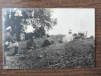 Old photo Kingdom of Bulgaria -