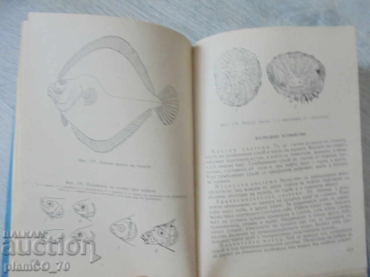 No. 8158 Hunter's and Fisherman's Handbook - Zemizdat, 1974 - 5