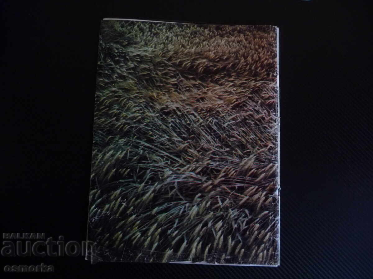 Femeia azi 7/85 Panourile Liudmila Jivkova Nenko Balkanski - 7